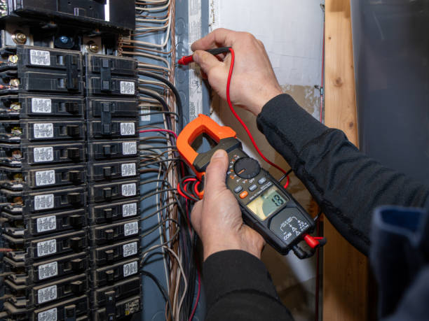 Best Electric Panel Repair  in Mowbray Mountain, TN
